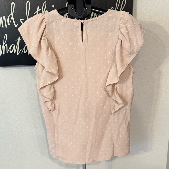 Briley Swiss Dot Top NWOT - Picture 3 of 13